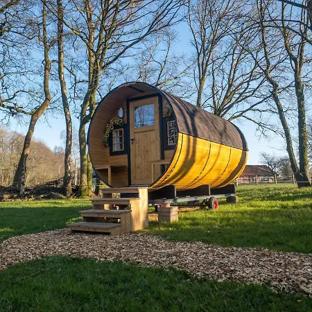 Campsite Sonnenblumenfass