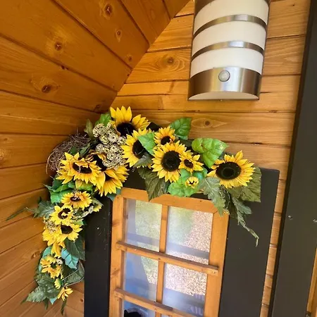 Sonnenblumenfass * Lastrup